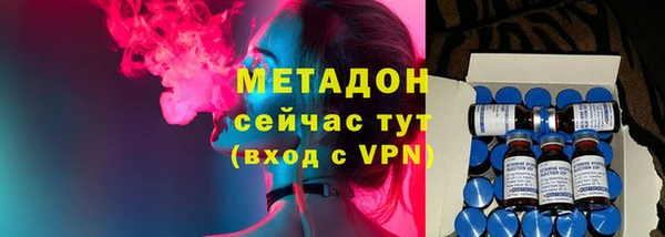 прущие грибы Ачинск