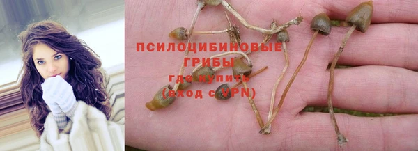 героин Михайлов