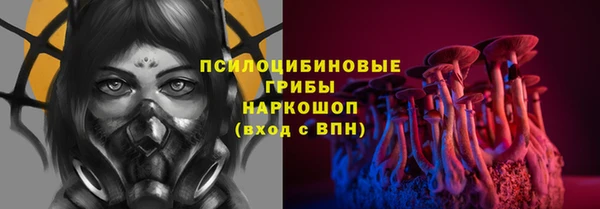 альфа пвп Надым