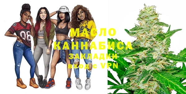 индика Медвежьегорск