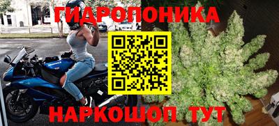 марки lsd Гай