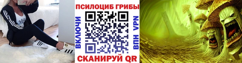 Галлюциногенные грибы ЛСД  как найти наркотики  Камышин 