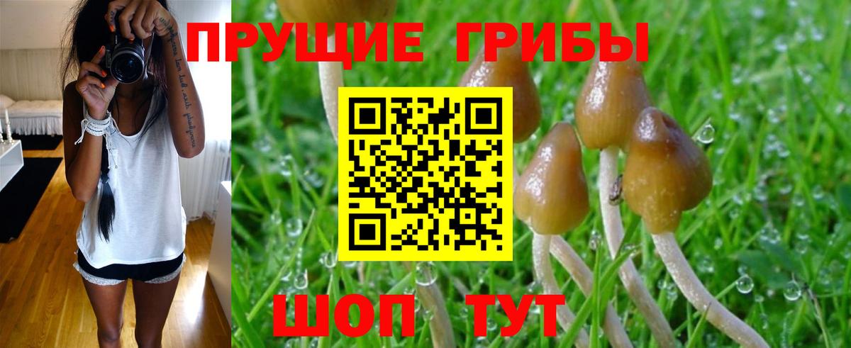 Псилоцибиновые грибы ЛСД Камышин