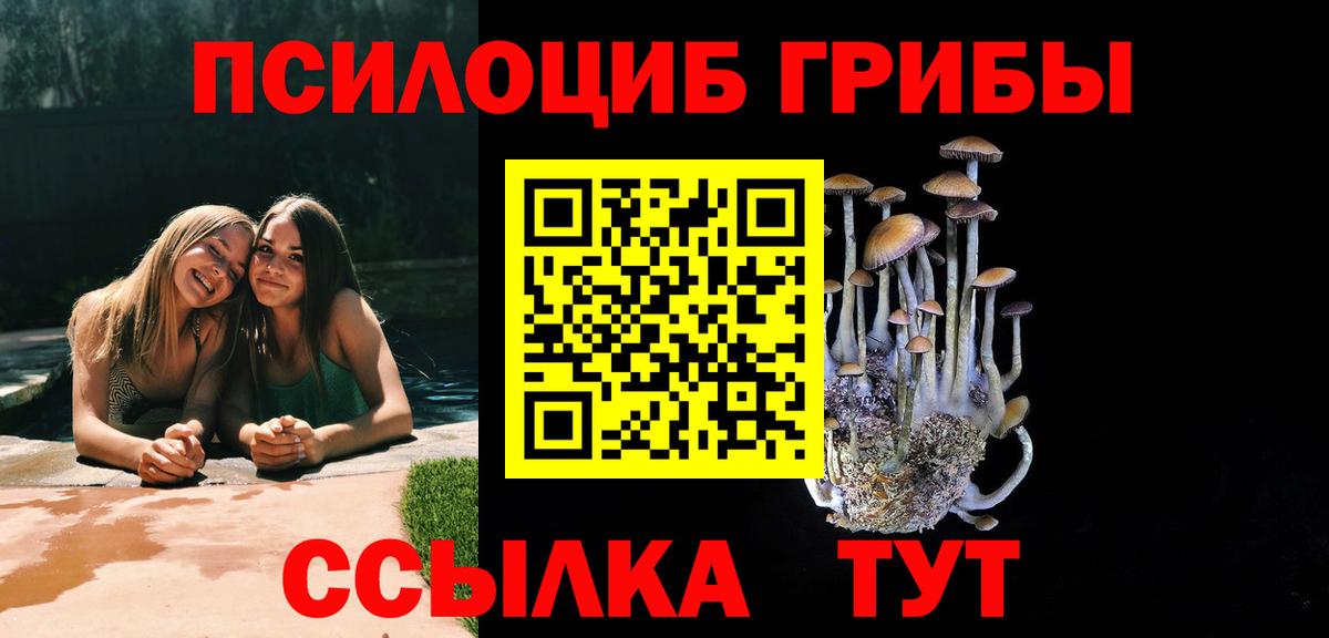 Галлюциногенные грибы Cubensis  Псилоцибиновые грибы Psilocybine cubensis  закладки  Камышин 