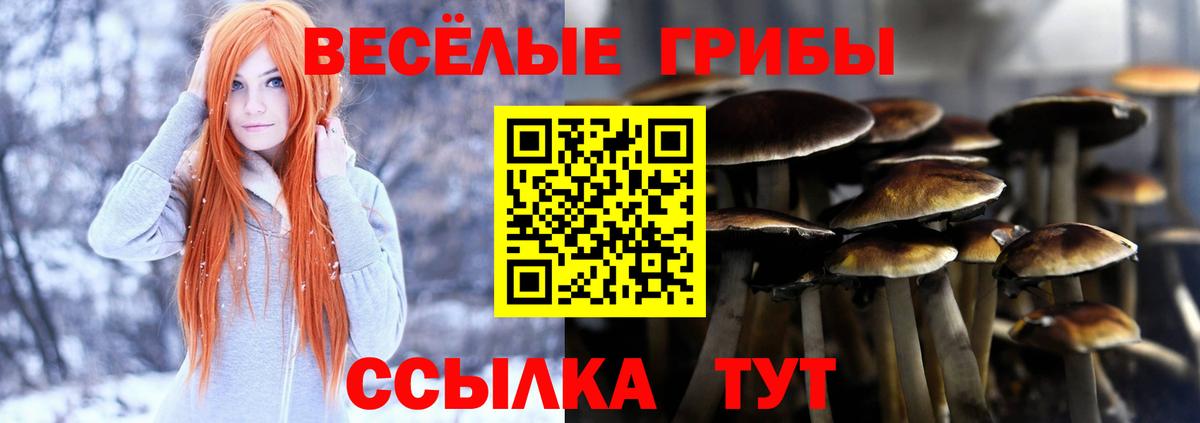 Камышин  Псилоцибиновые грибы GOLDEN TEACHER  купить   Вход с VPN 